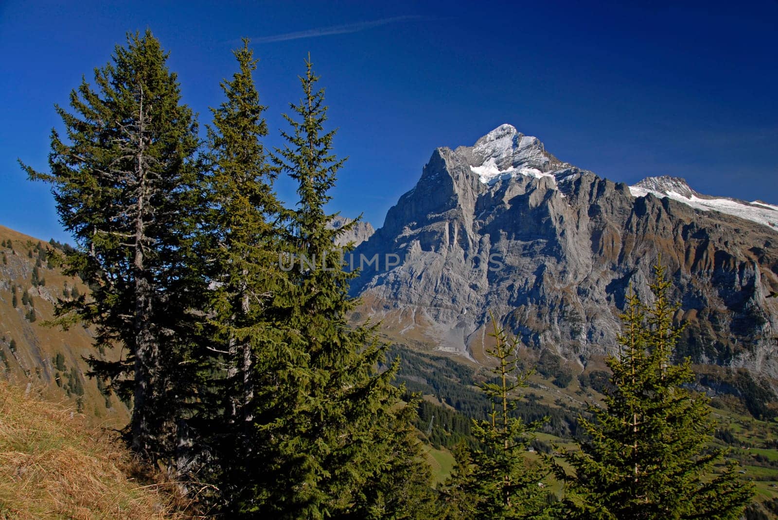 Wetterhorn