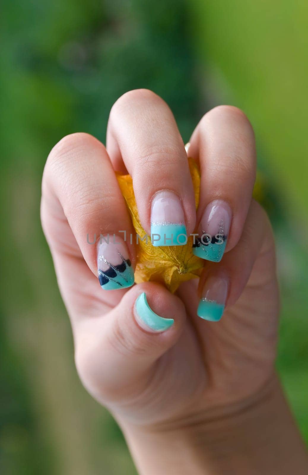 Woman's hand with physalis