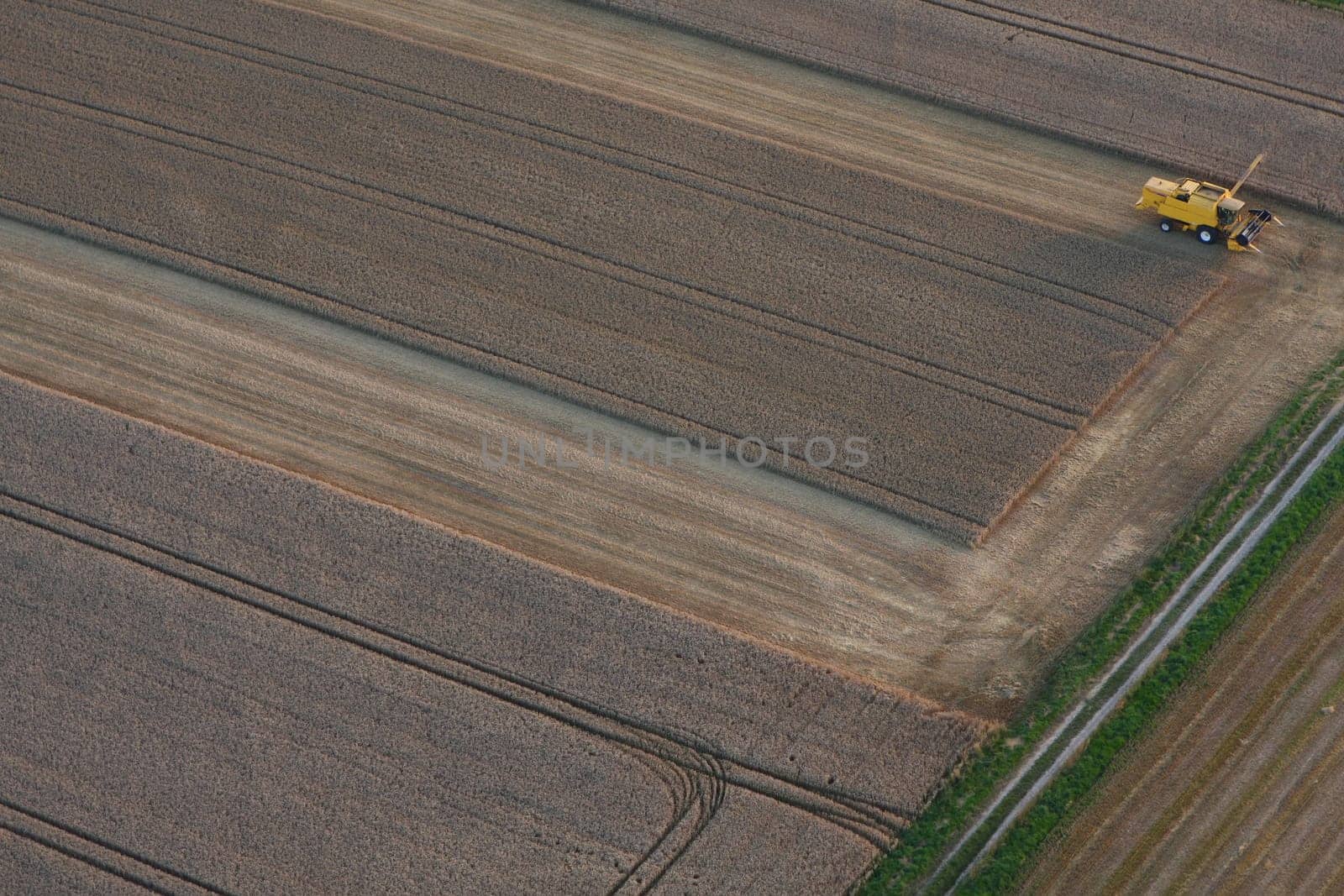 Harvest time