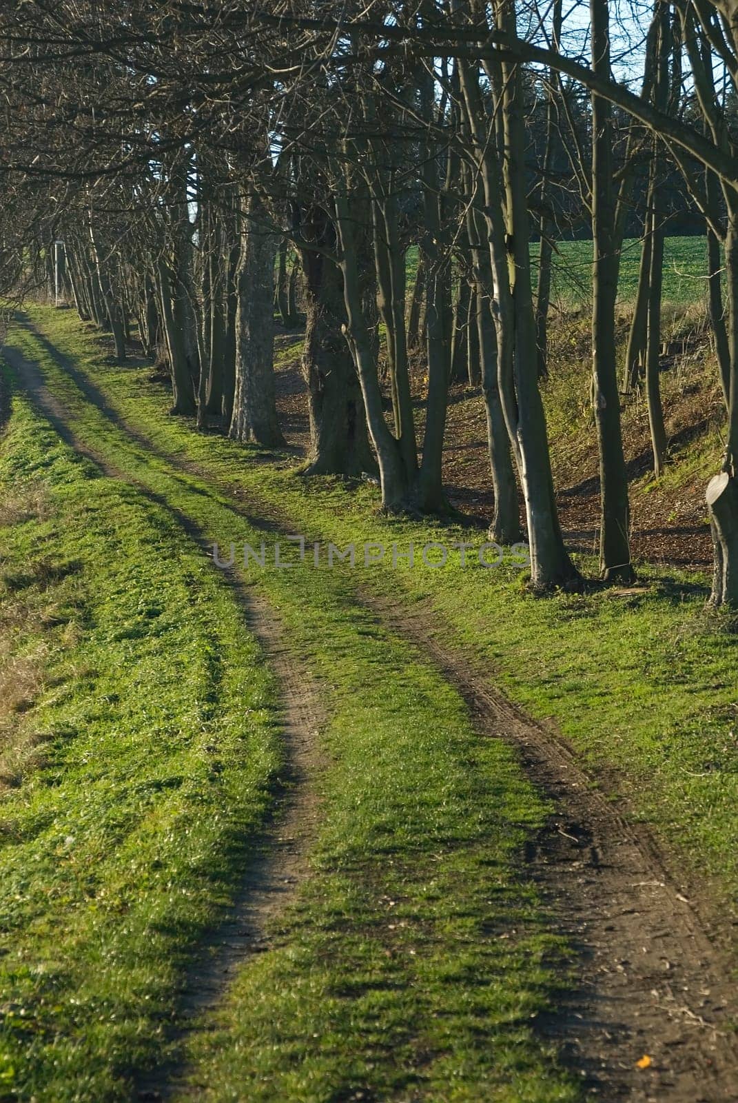 Dirt road