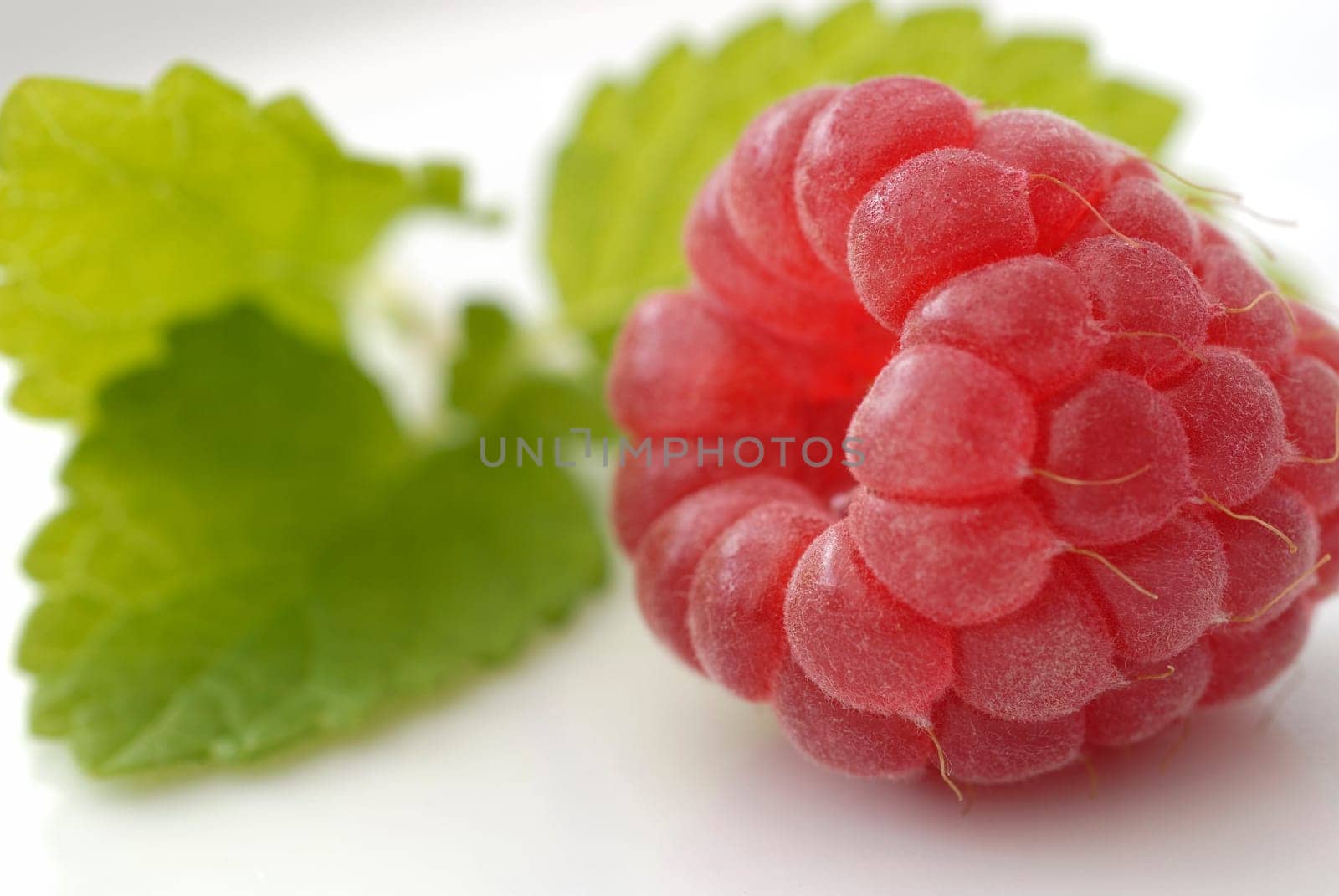 Raspberry 08