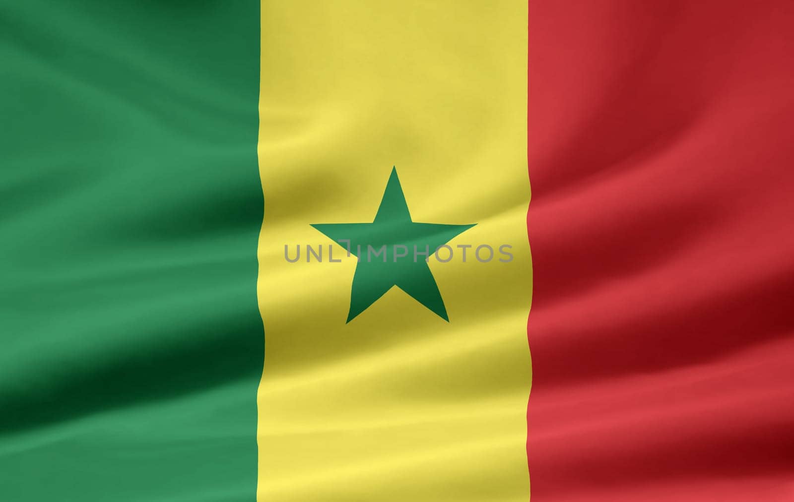 Senegalese flag