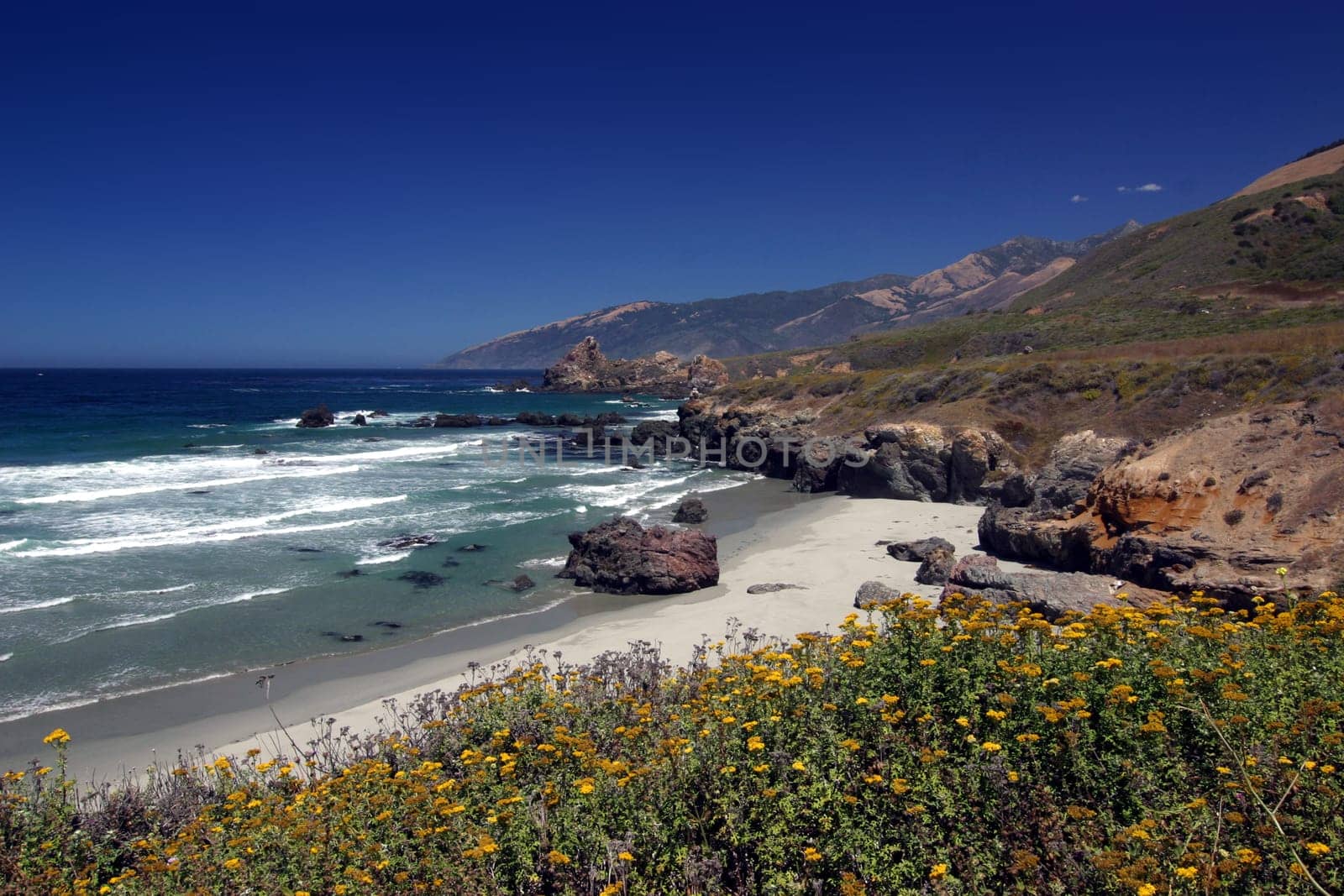 California,Pacific Coast