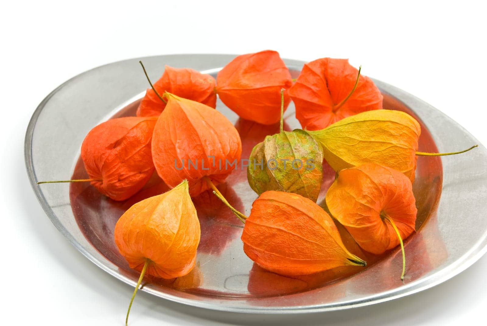 Golden physalis