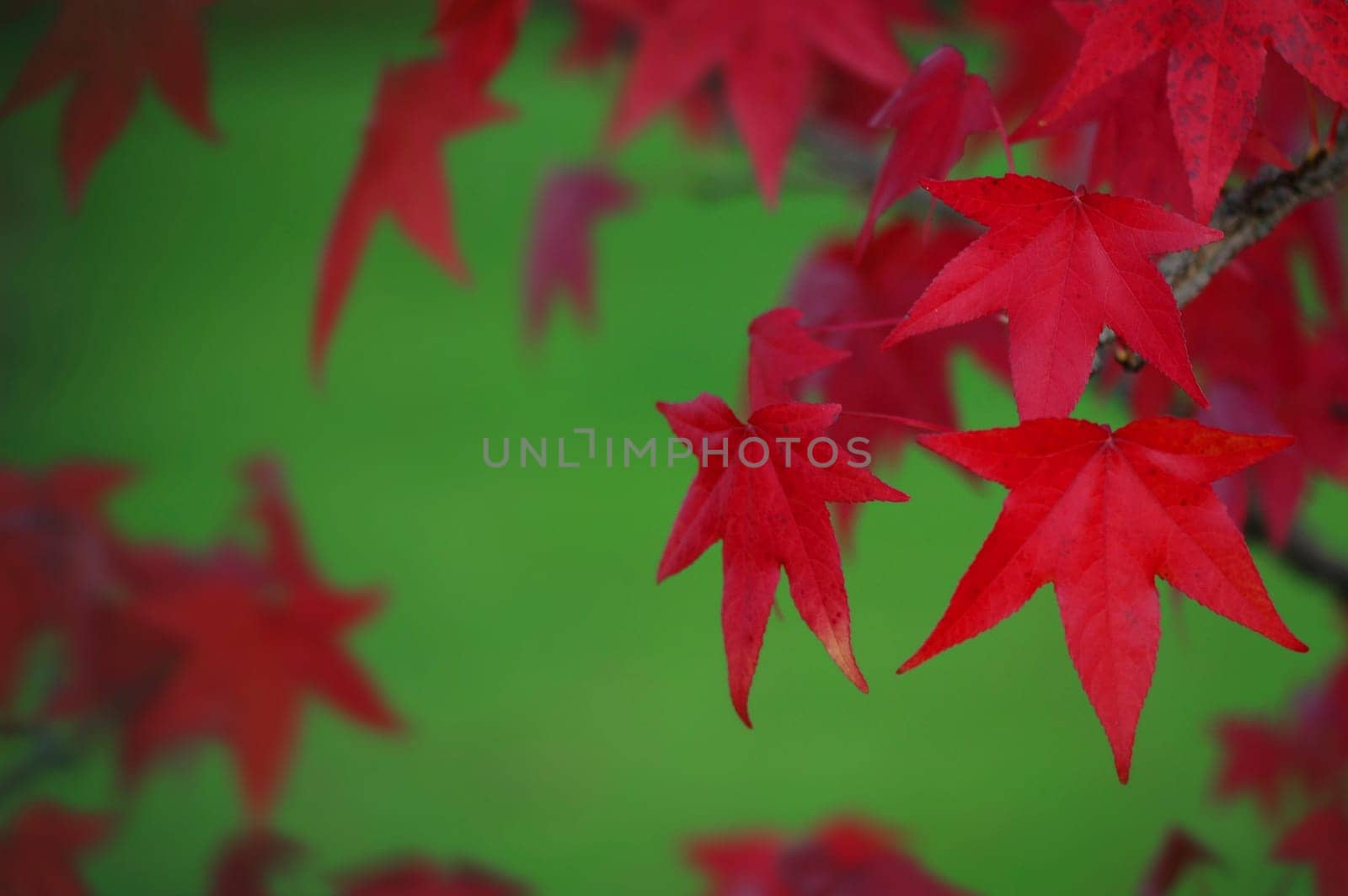 Autumn 3