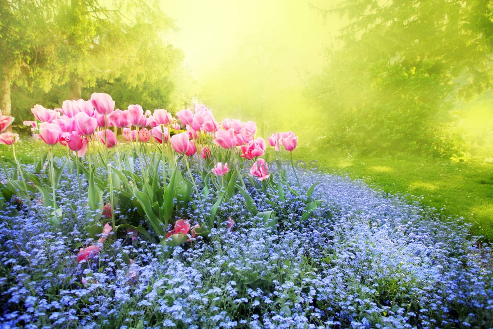 Sommer Garden