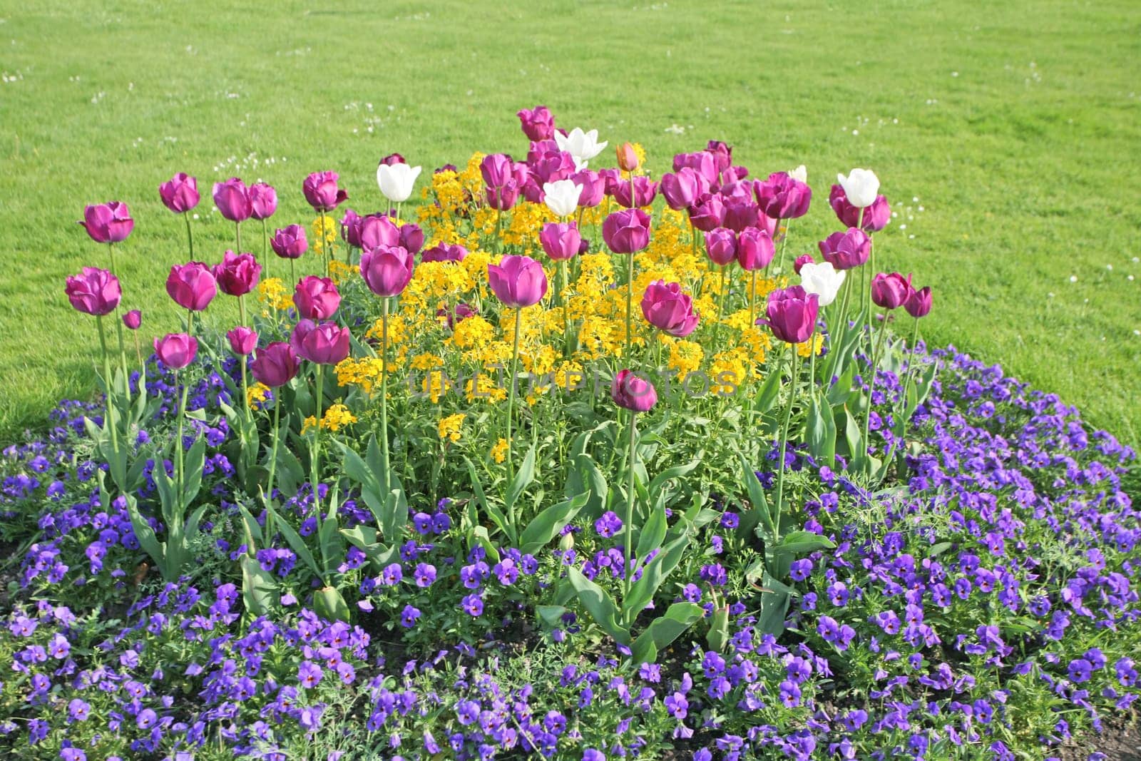 Flower-bed