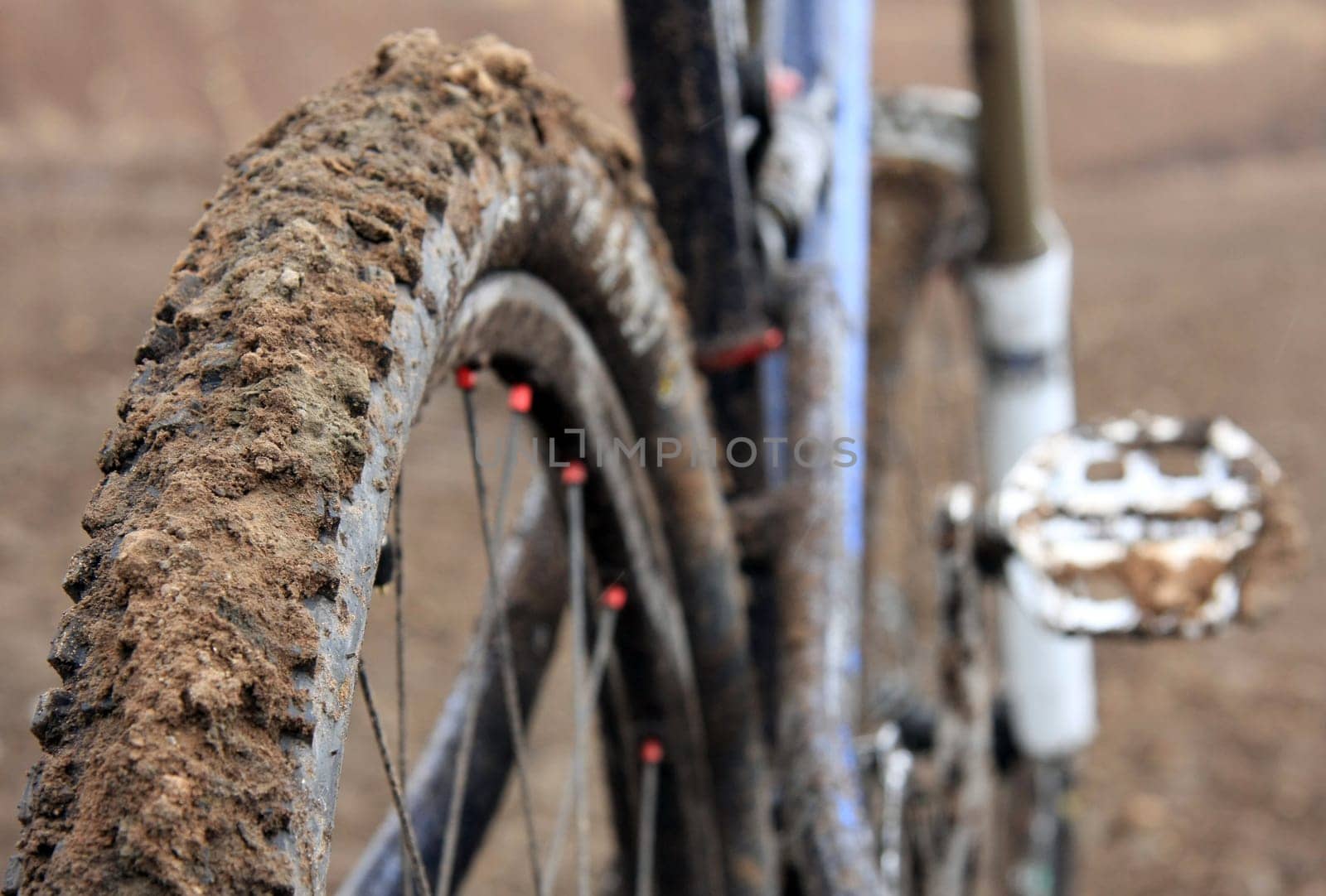 Wheel Detail I