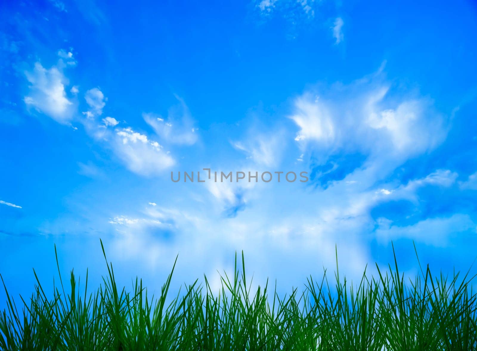Sky panorama