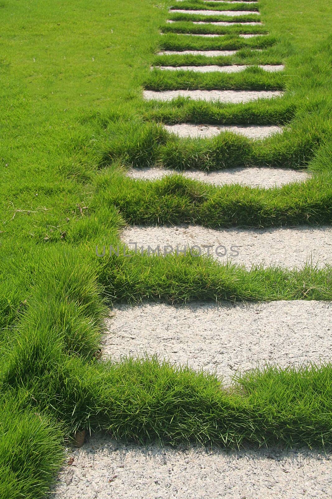 Garden path