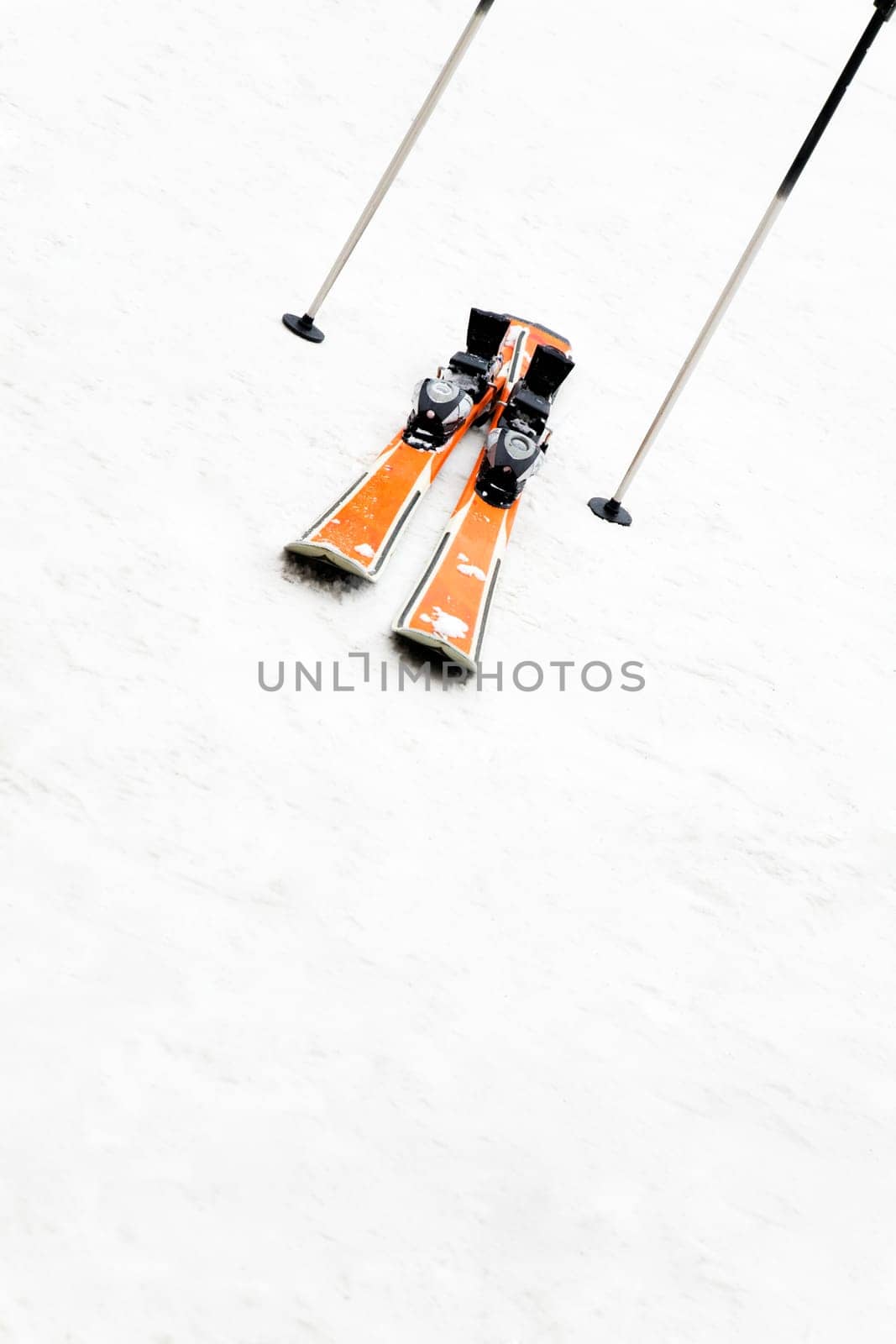 winter scene