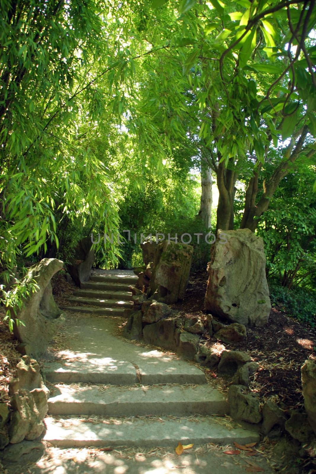 Zen garden