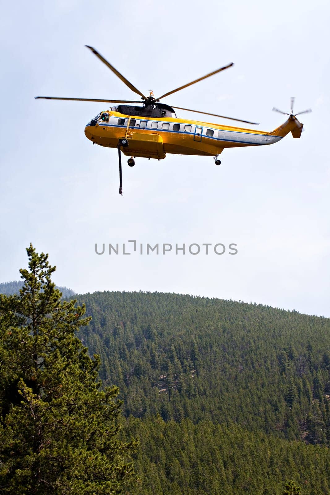 fire fighting helicopter