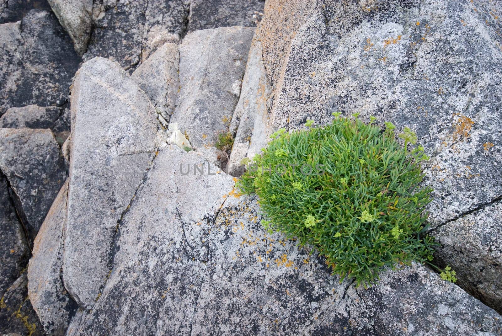 Granite