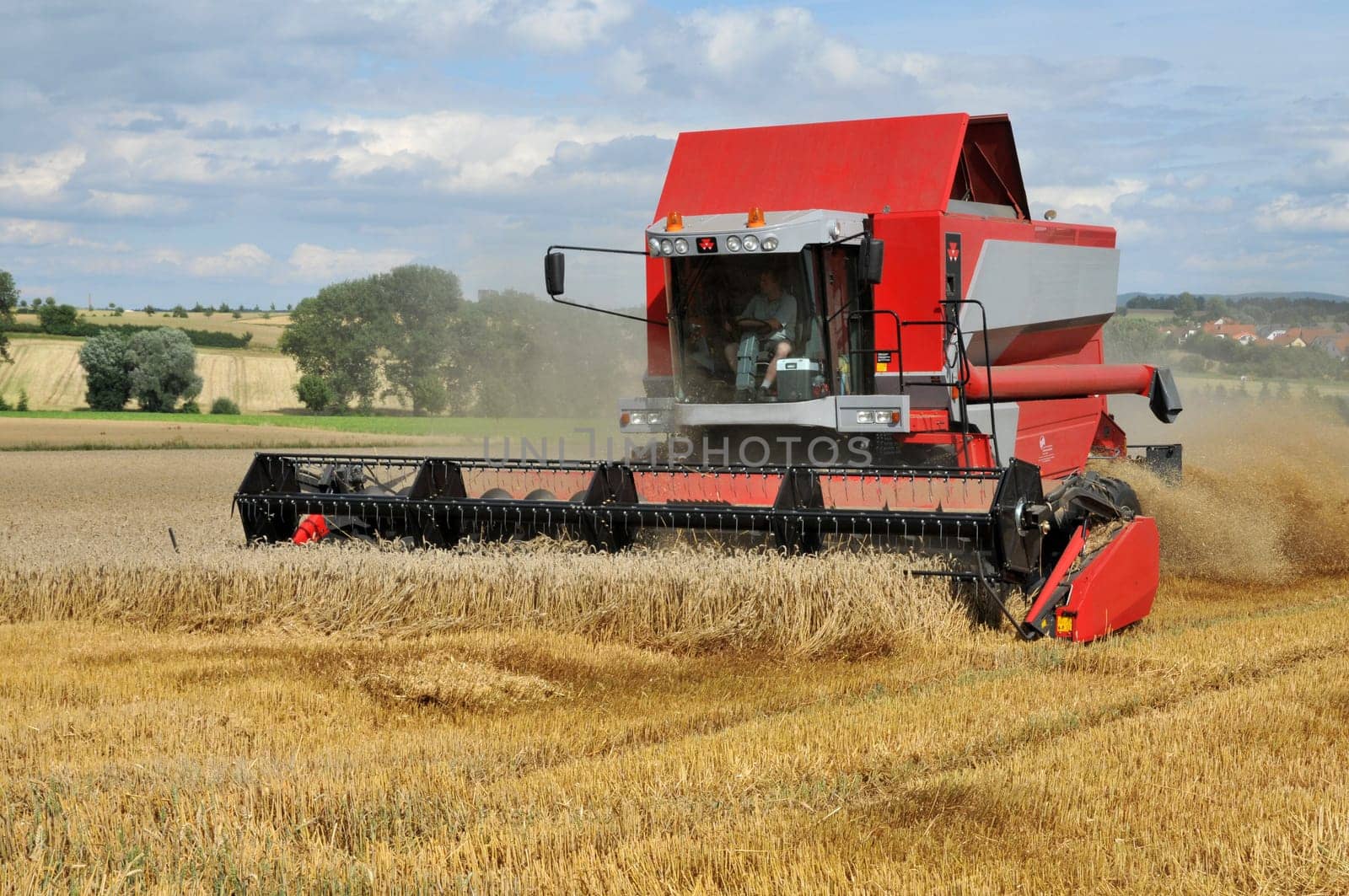 Harvest time