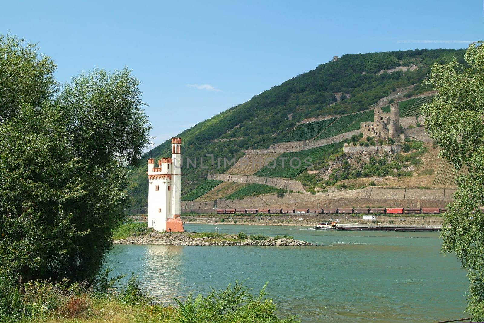 Mouse trum to bingen