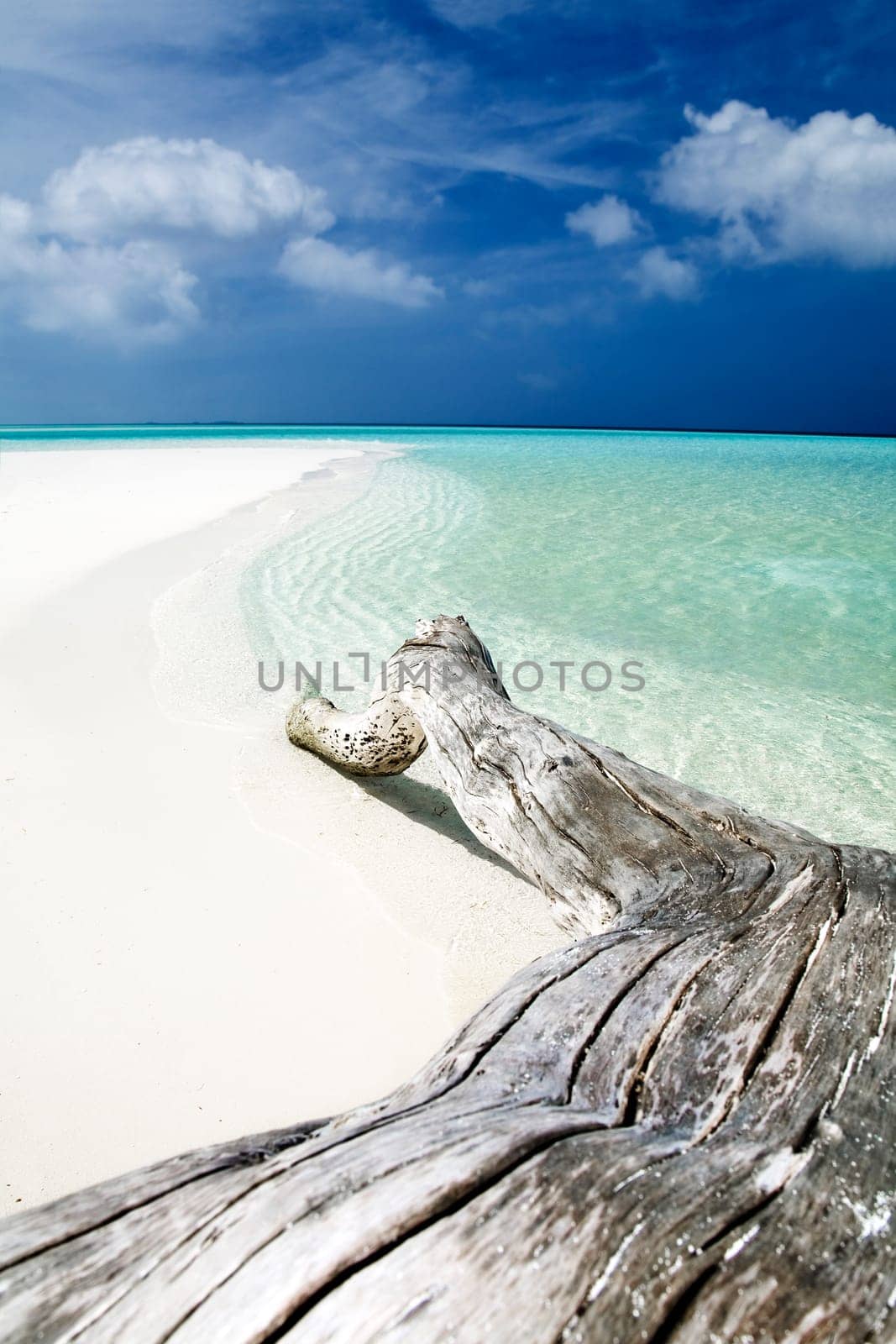tropical beach