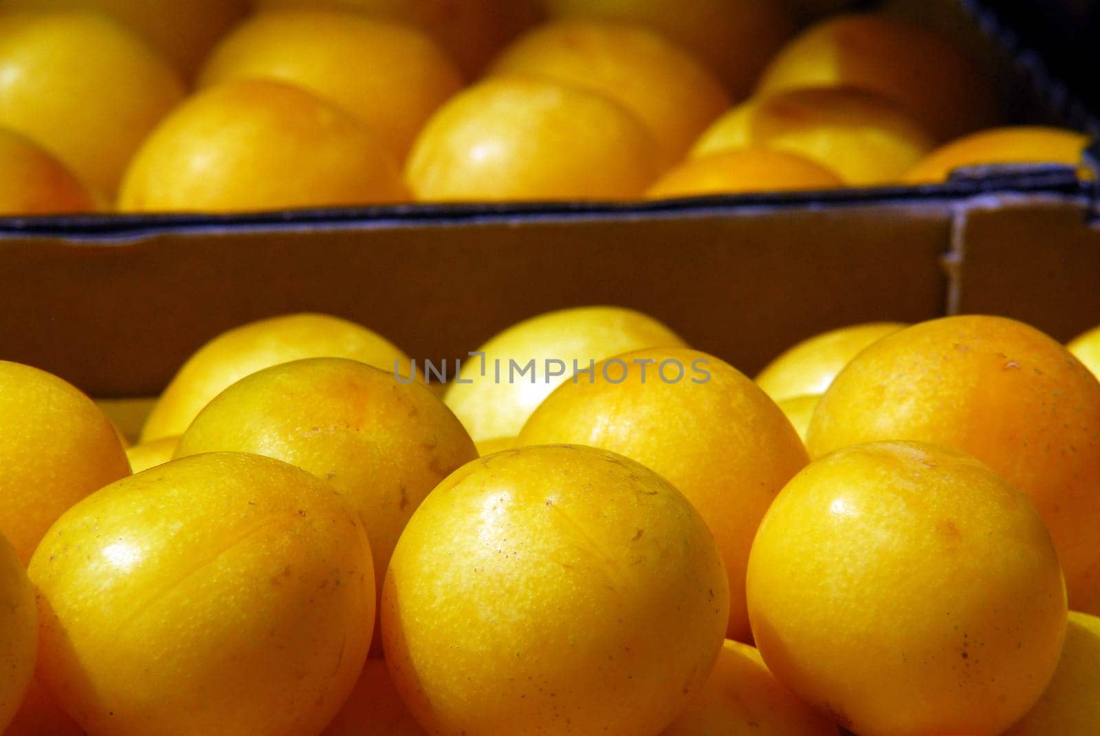 yellow plums