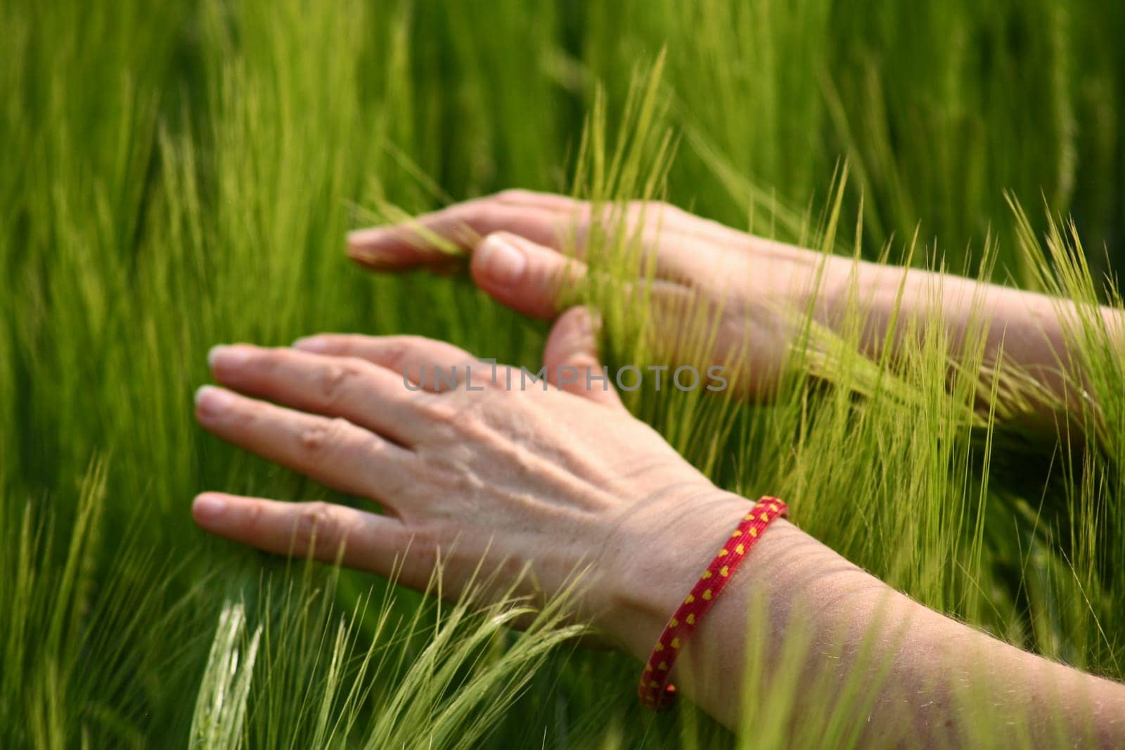 Hands in the field