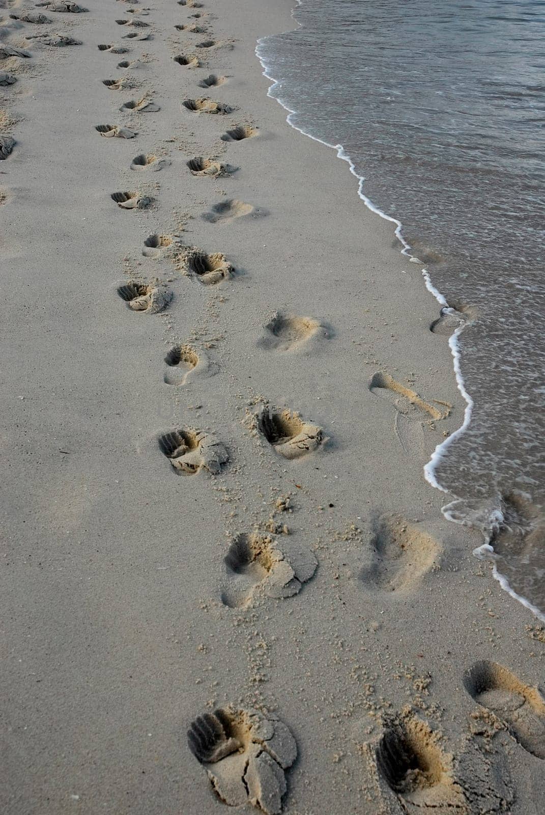 footprints