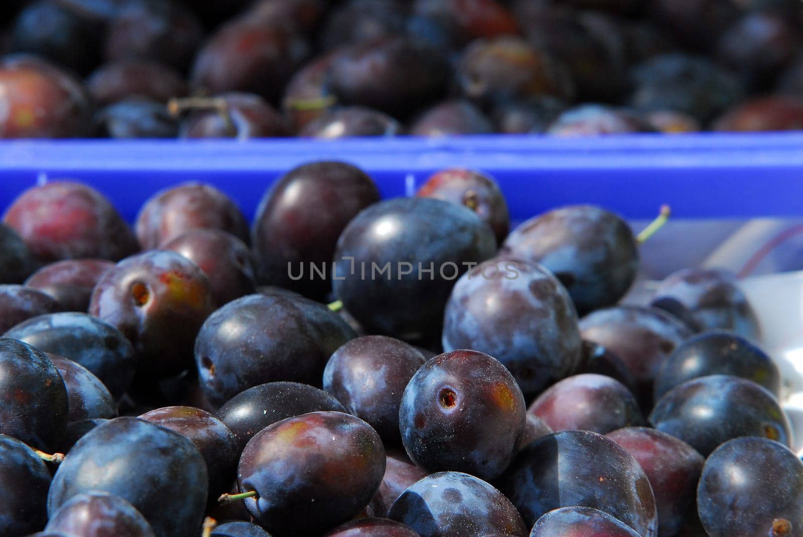 Plums