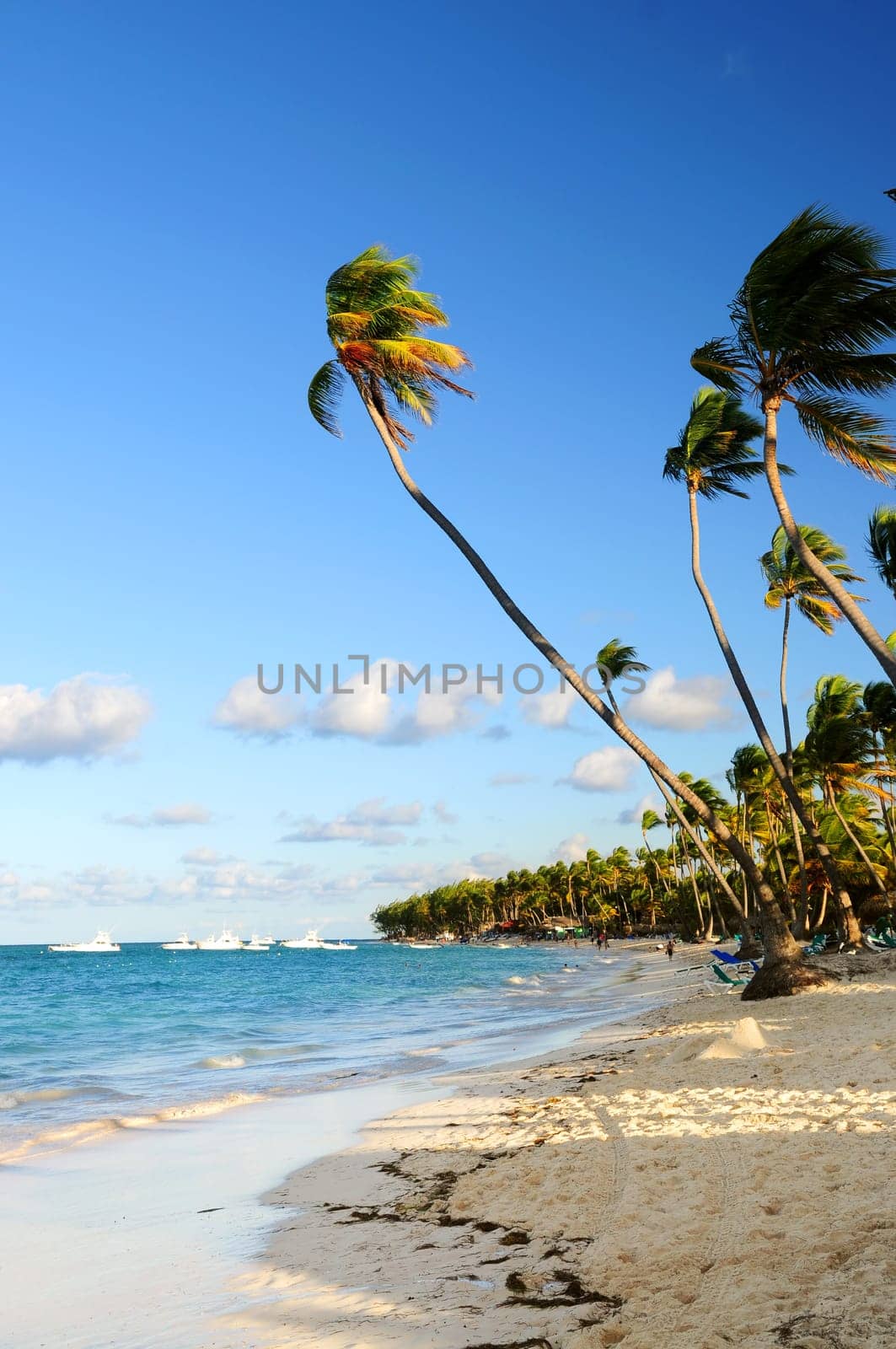Tropical beach