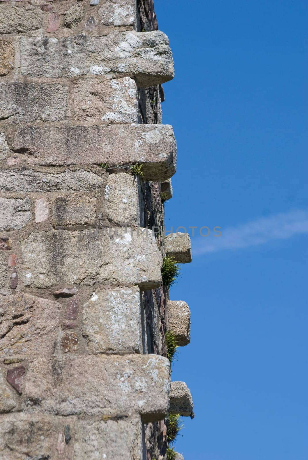 Piece of the Wall