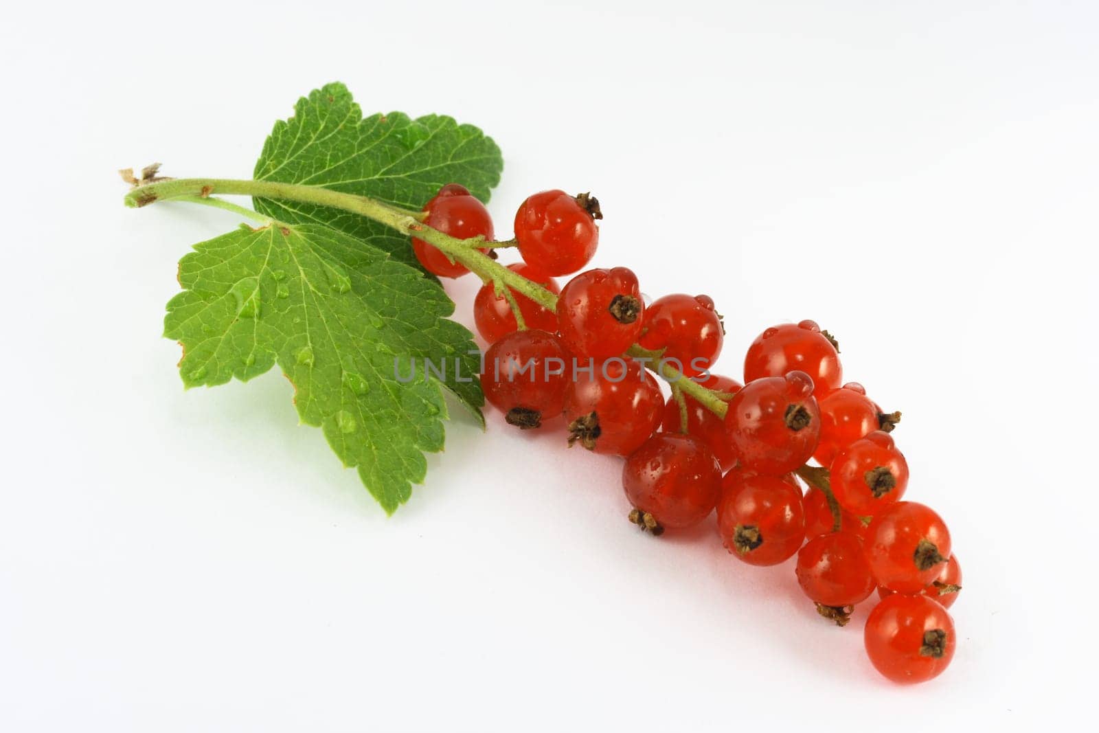 red currants