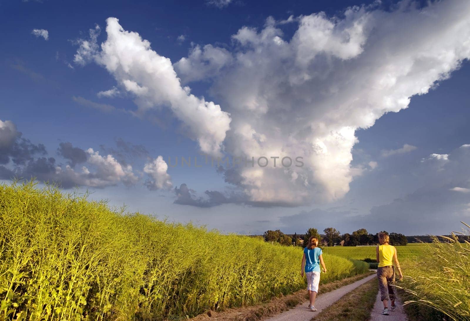 Evening Walk 2