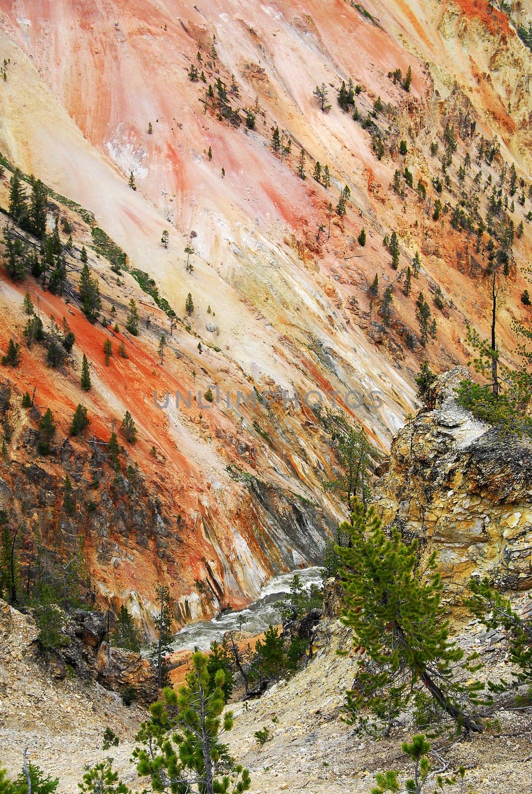 Yellow Stone