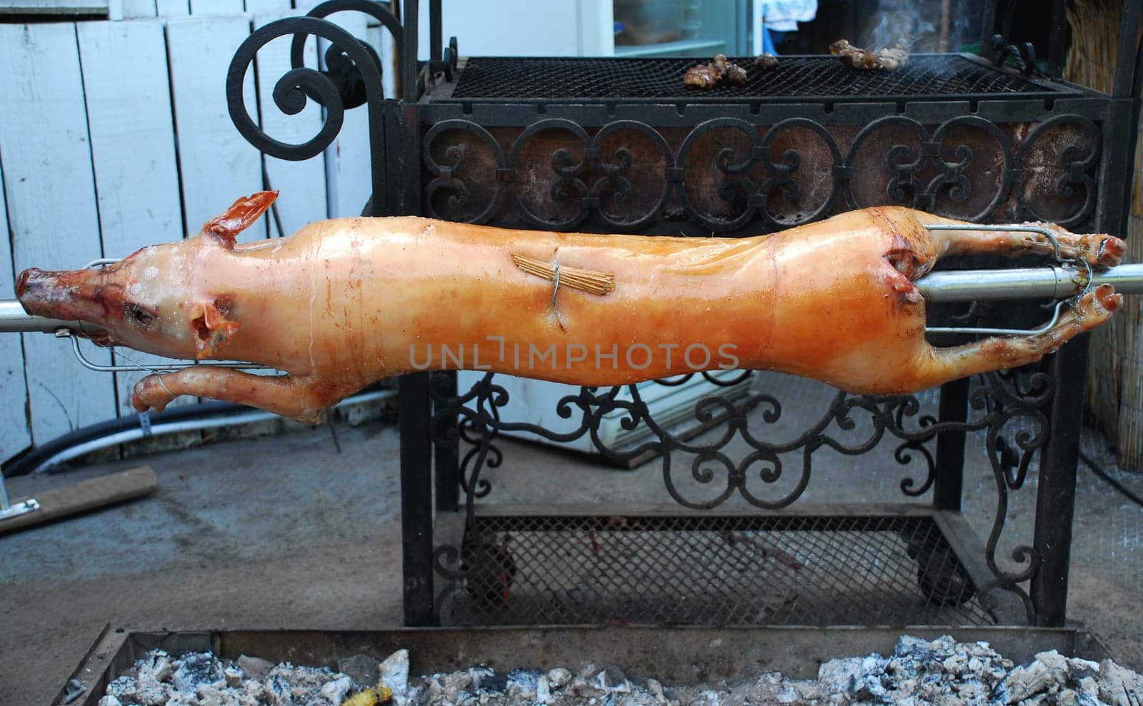 suckling pig