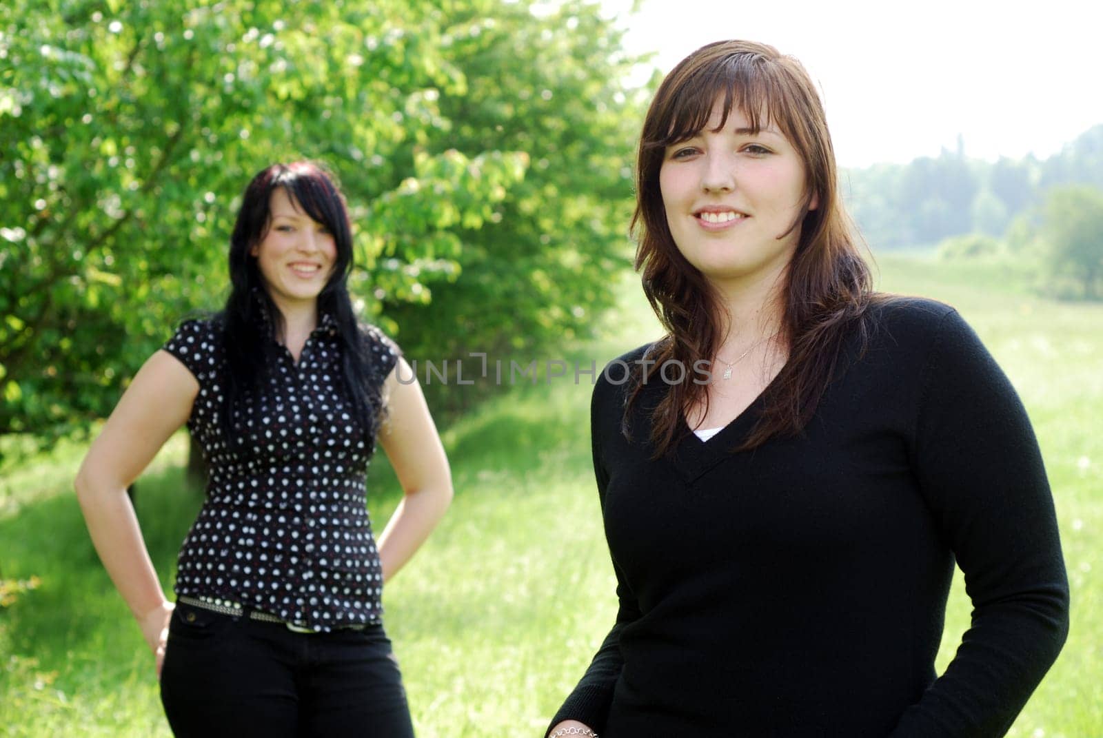 Friends