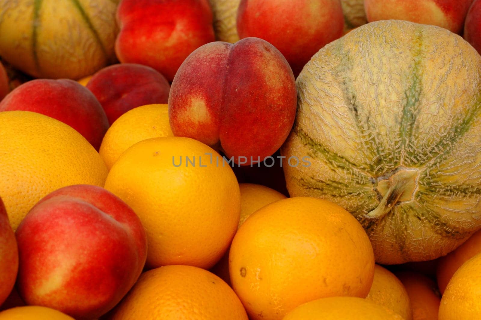 Fruits Fruit