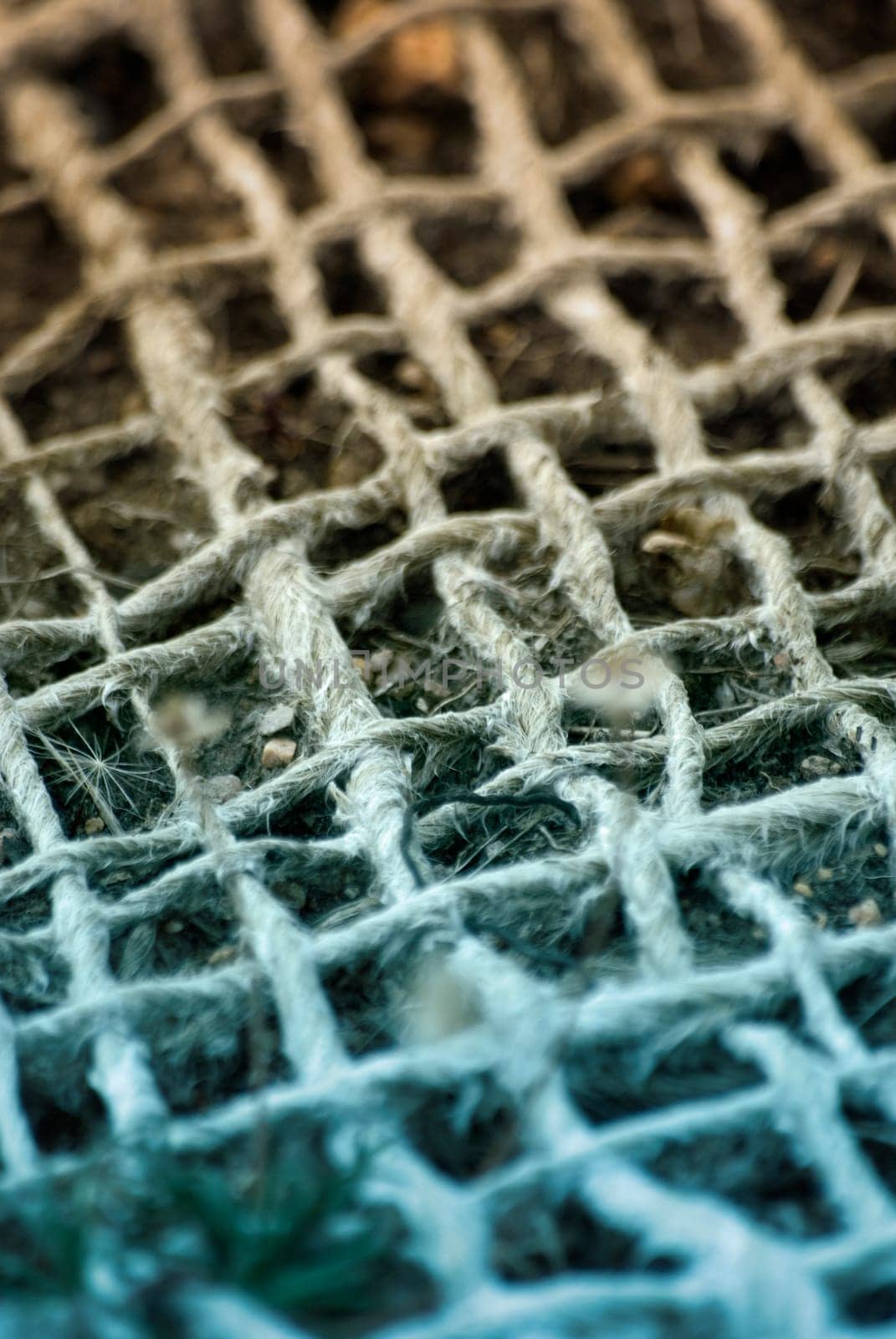 Braided Mesh