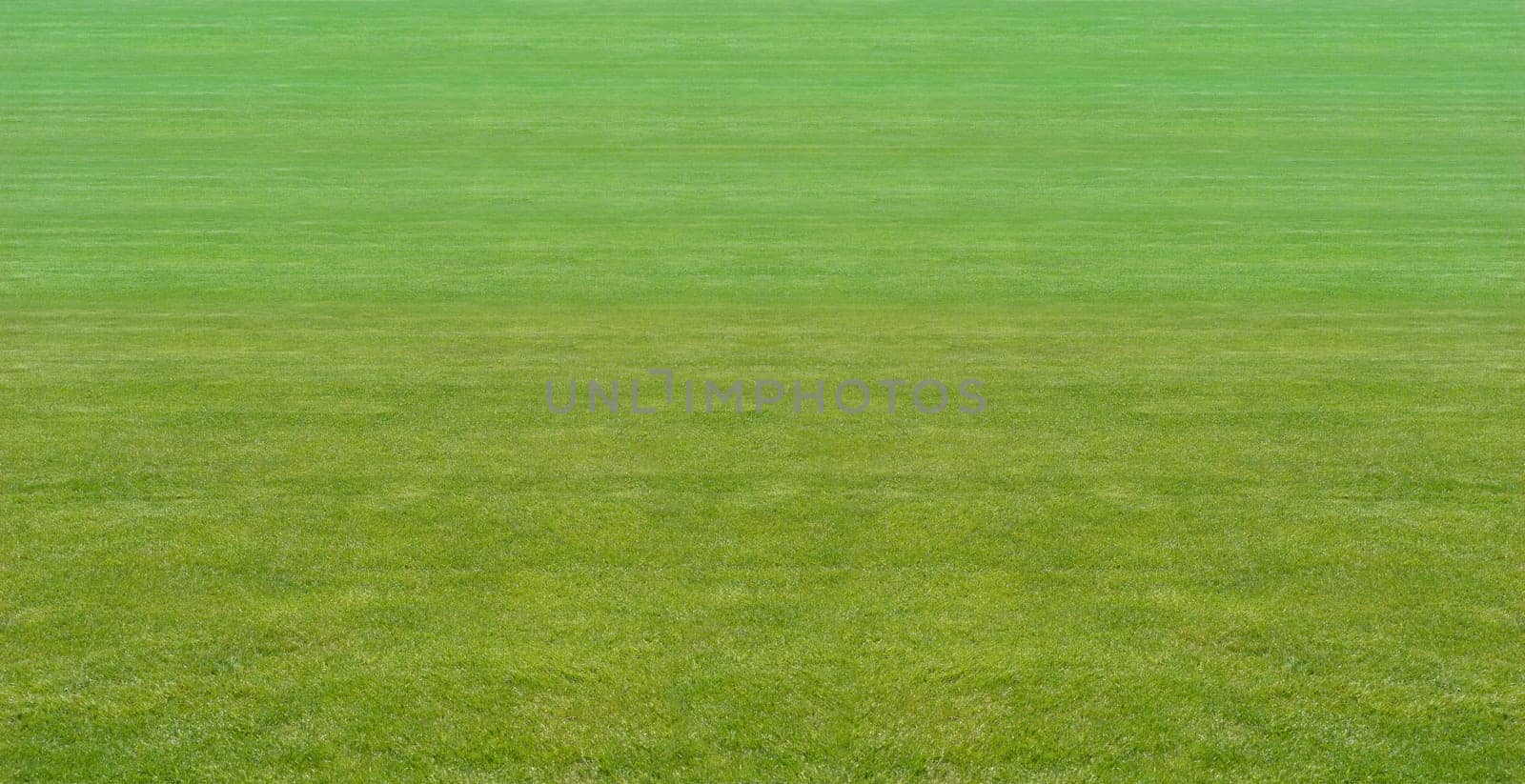 Lawn
