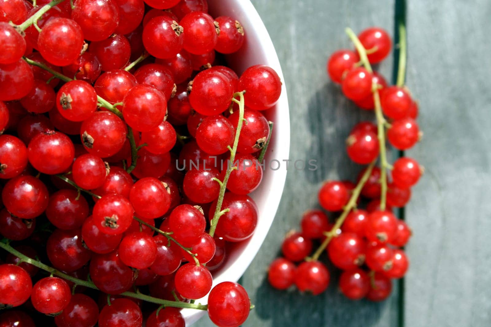 Currants (5)
