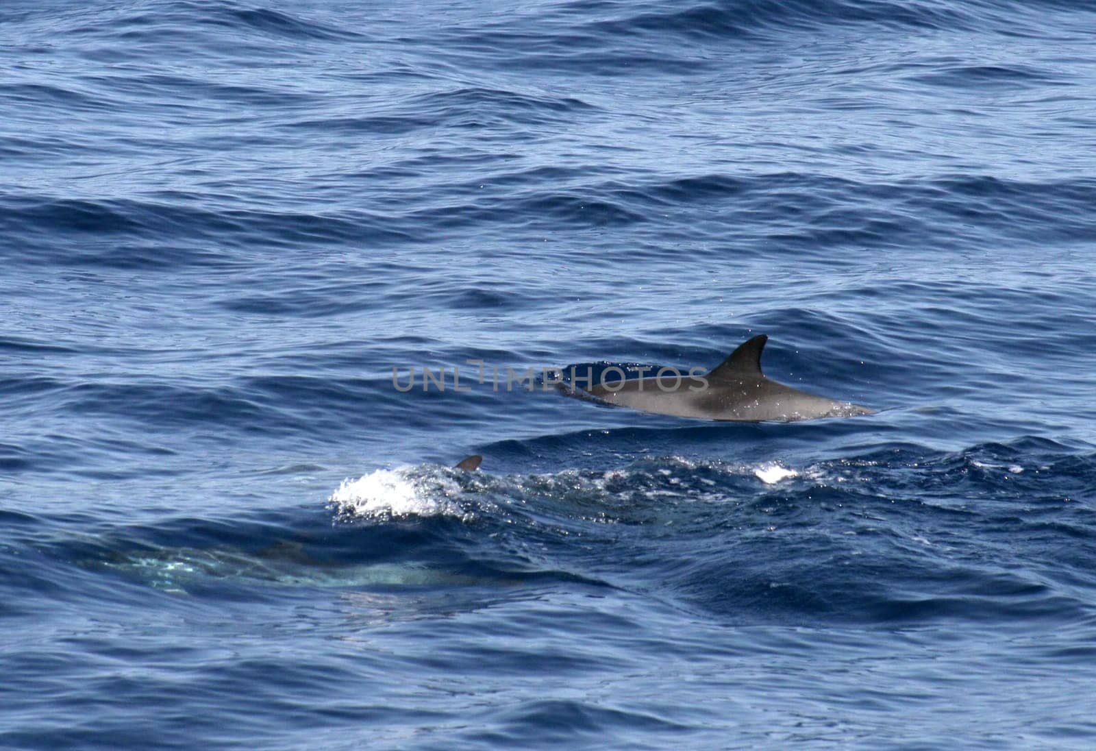 taken off Gran Canaria