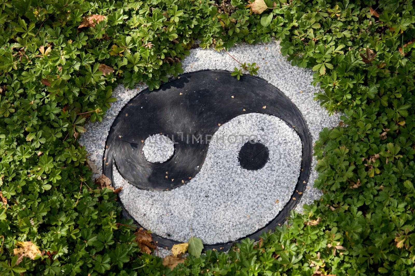 Yin and Yang