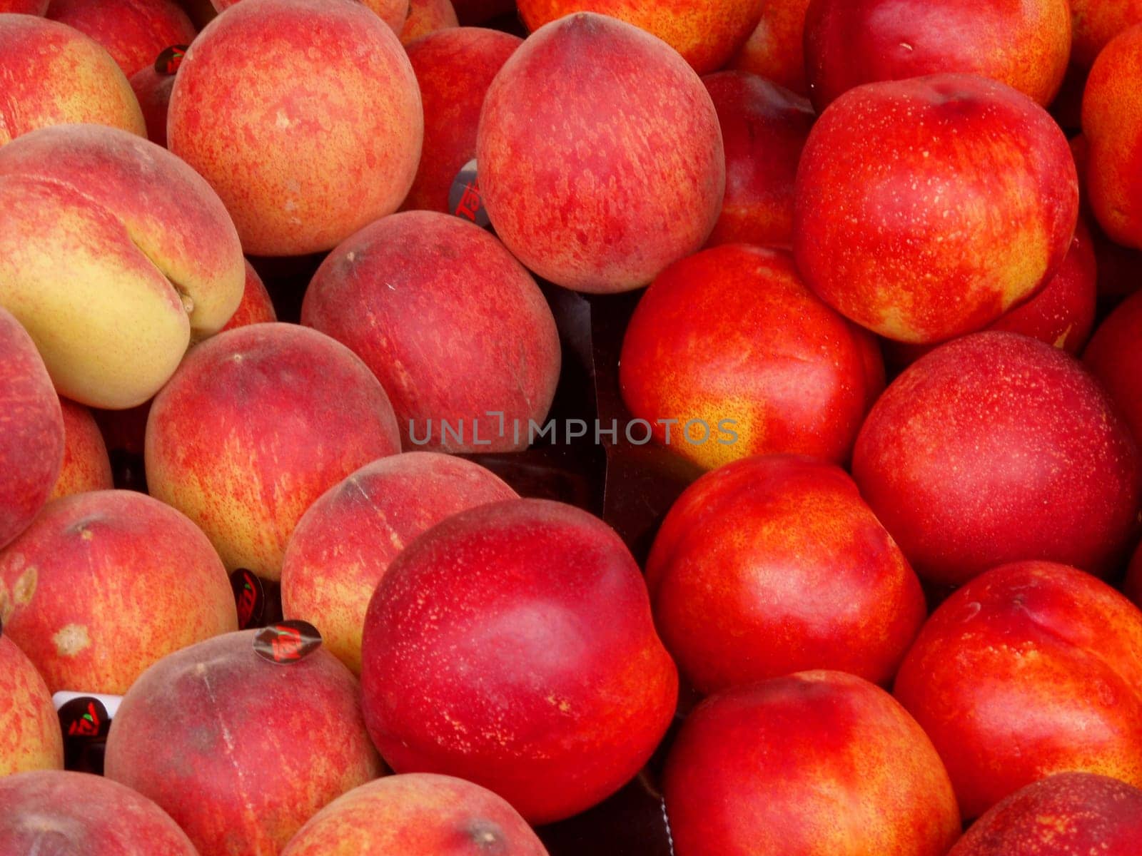 fruit