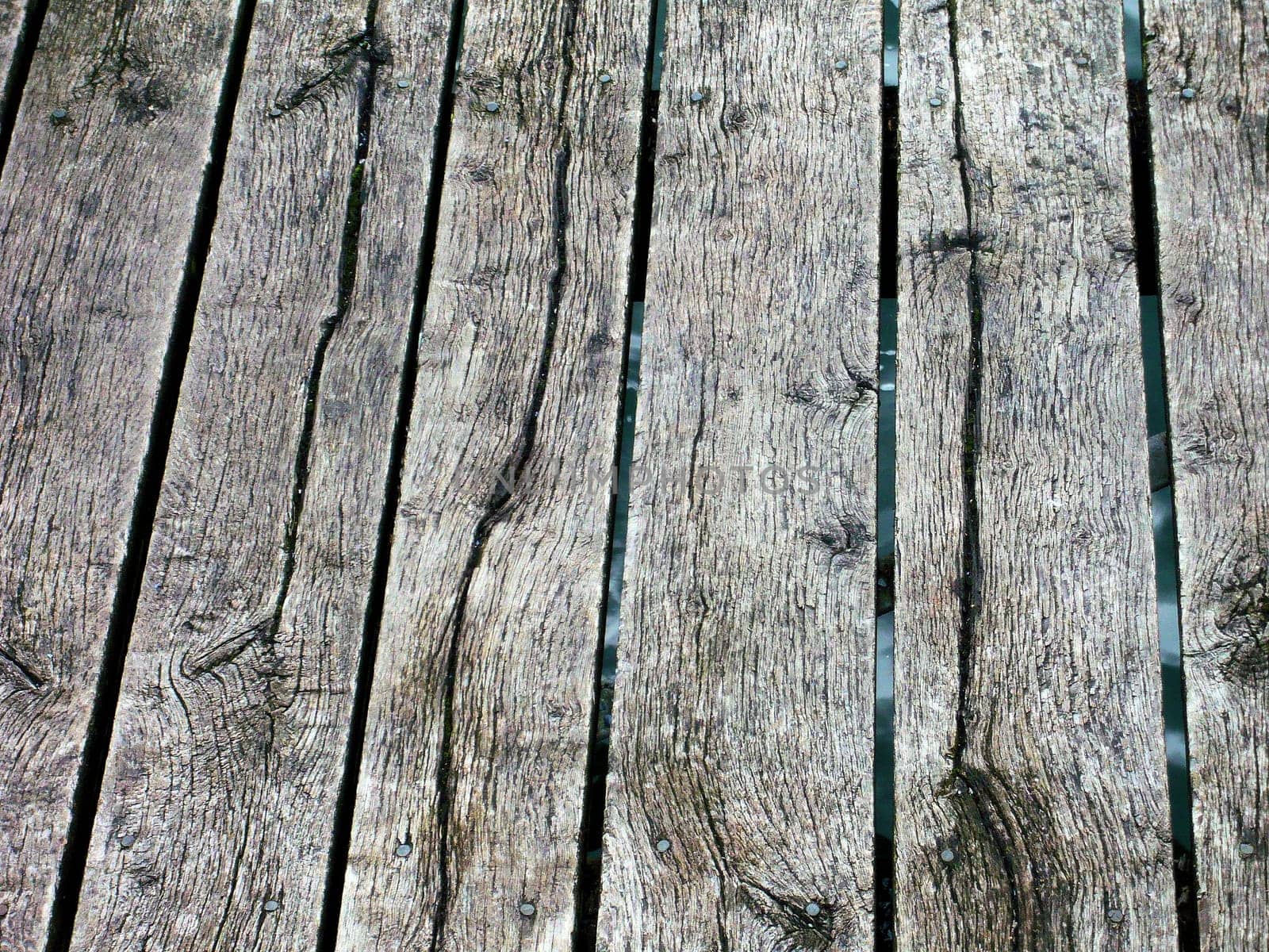 old wood