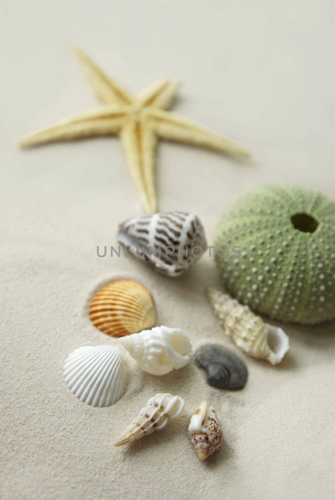 Shells