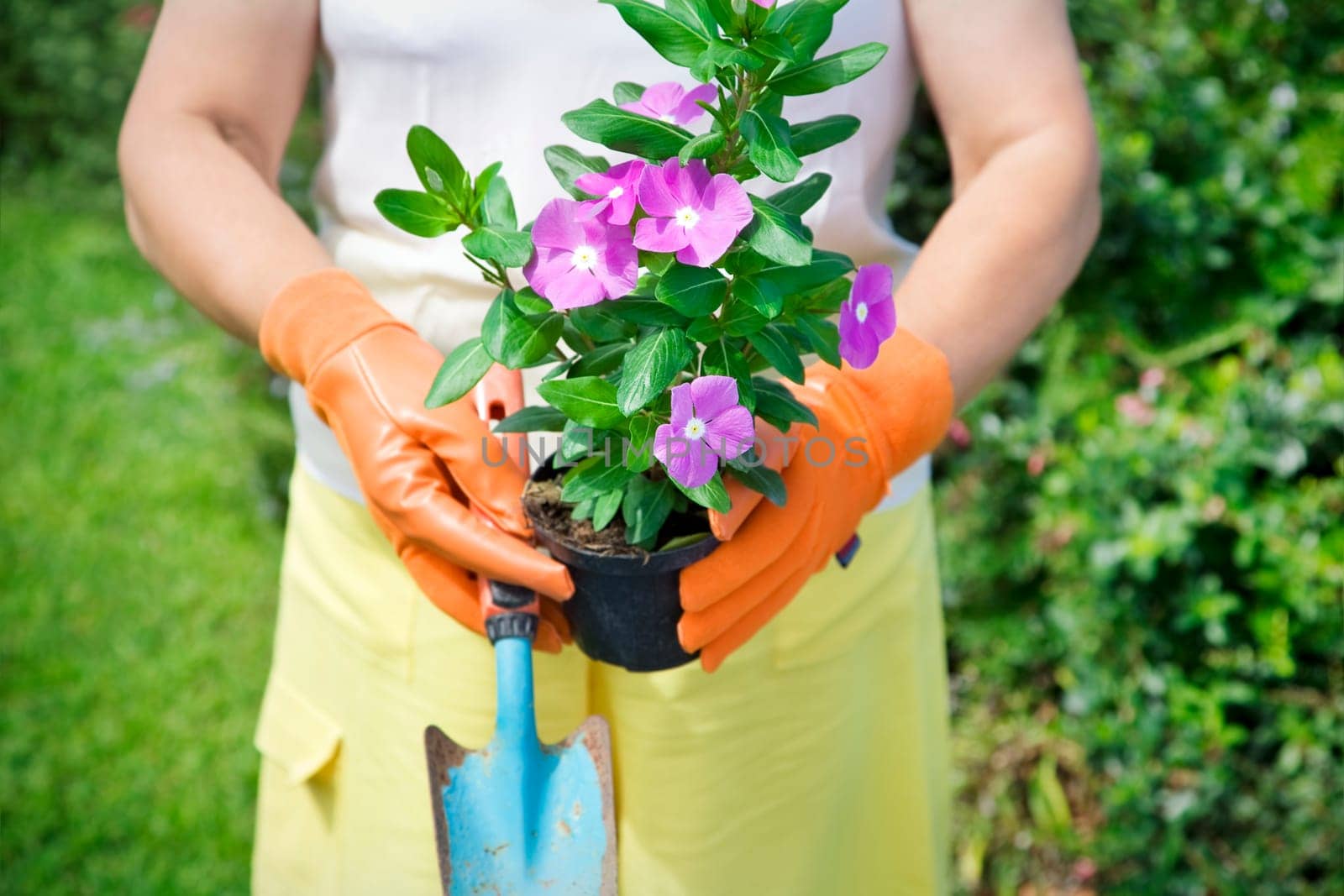 gardening