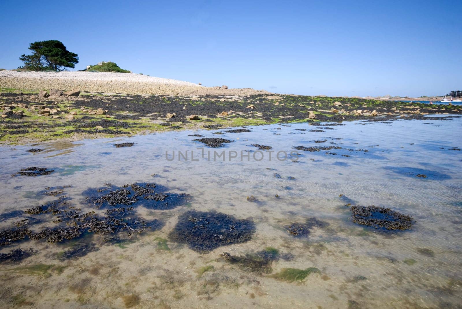Bay in Brittany