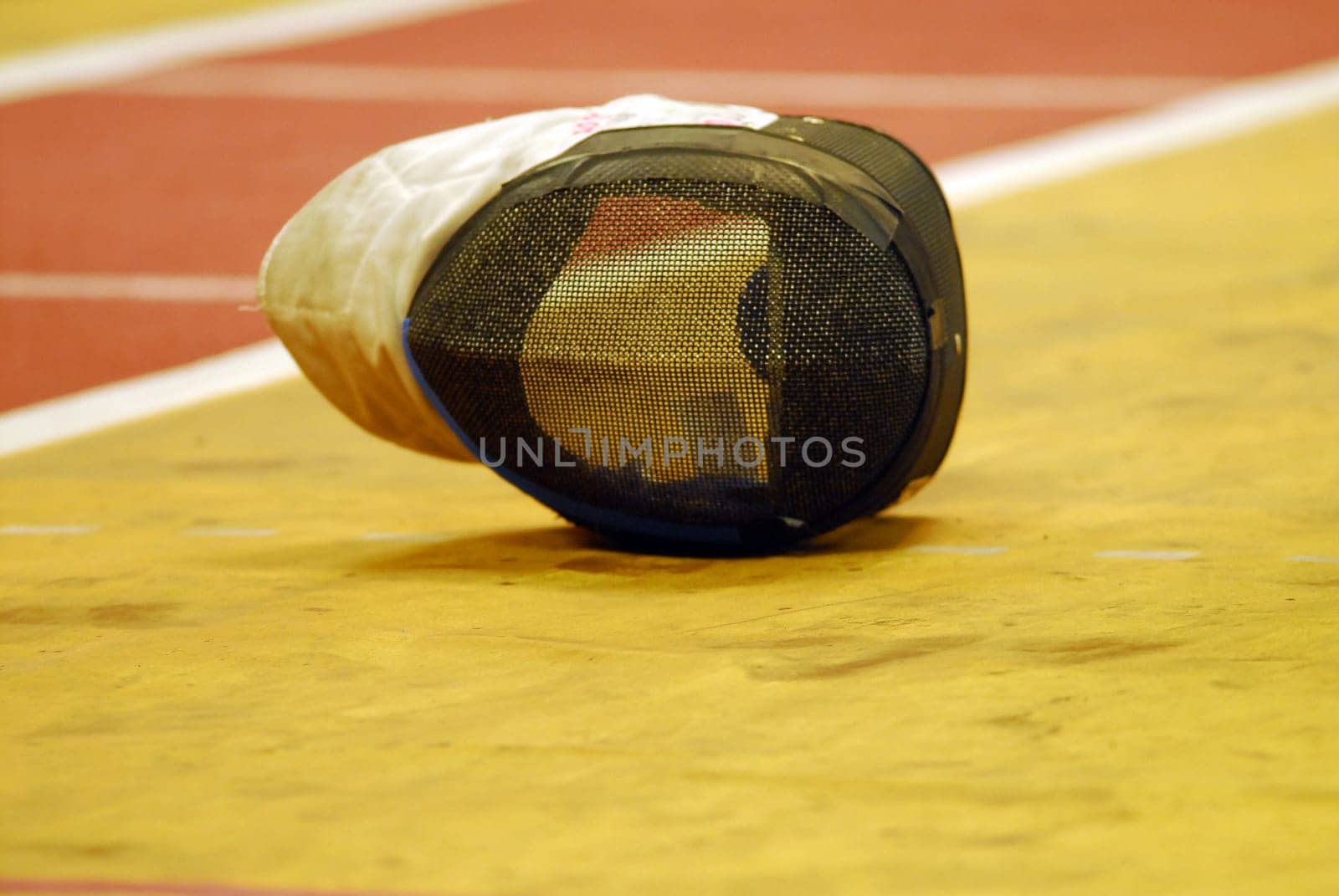 Fencing Mask