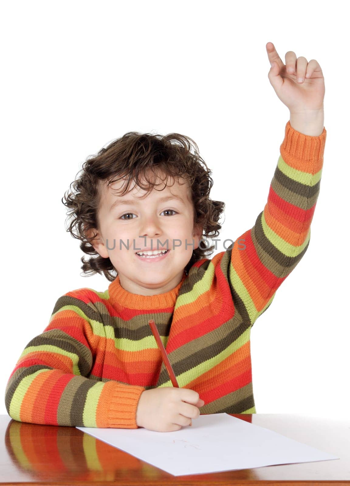 Adorable boy studying