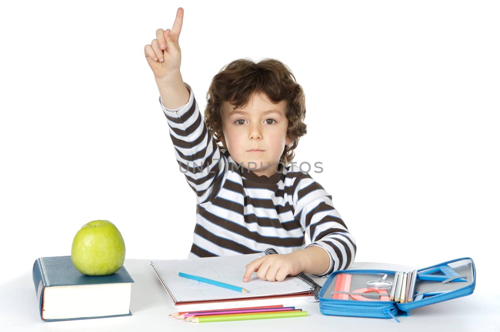 Adorable boy studying