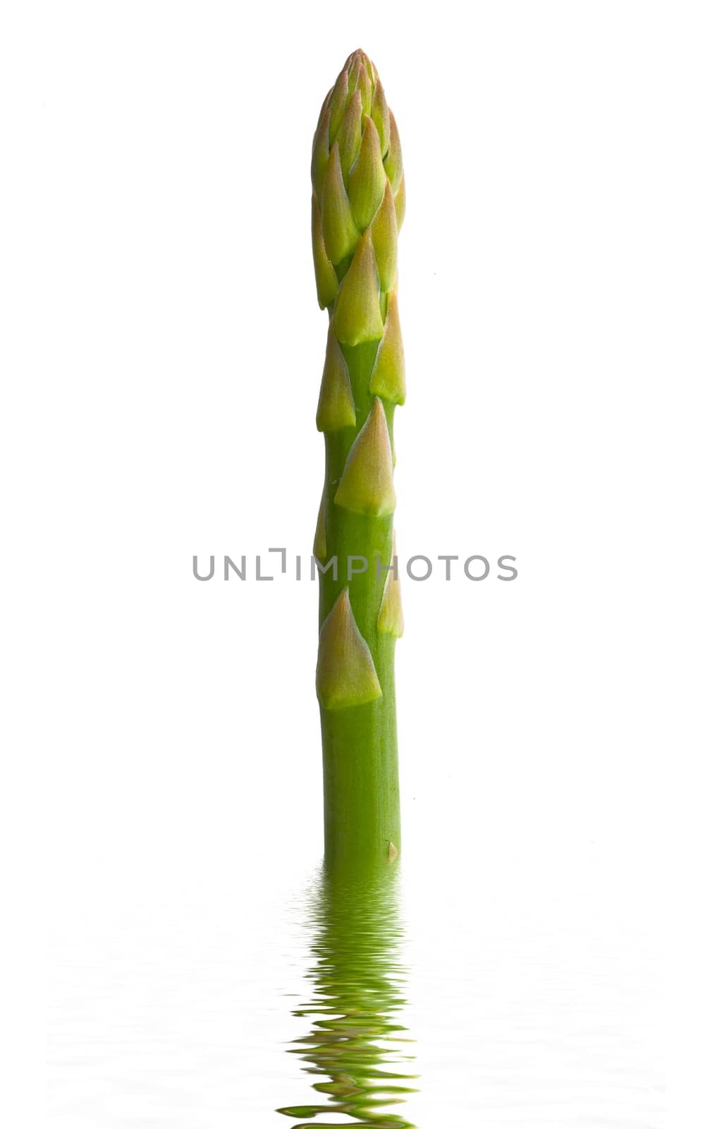 Asparagus