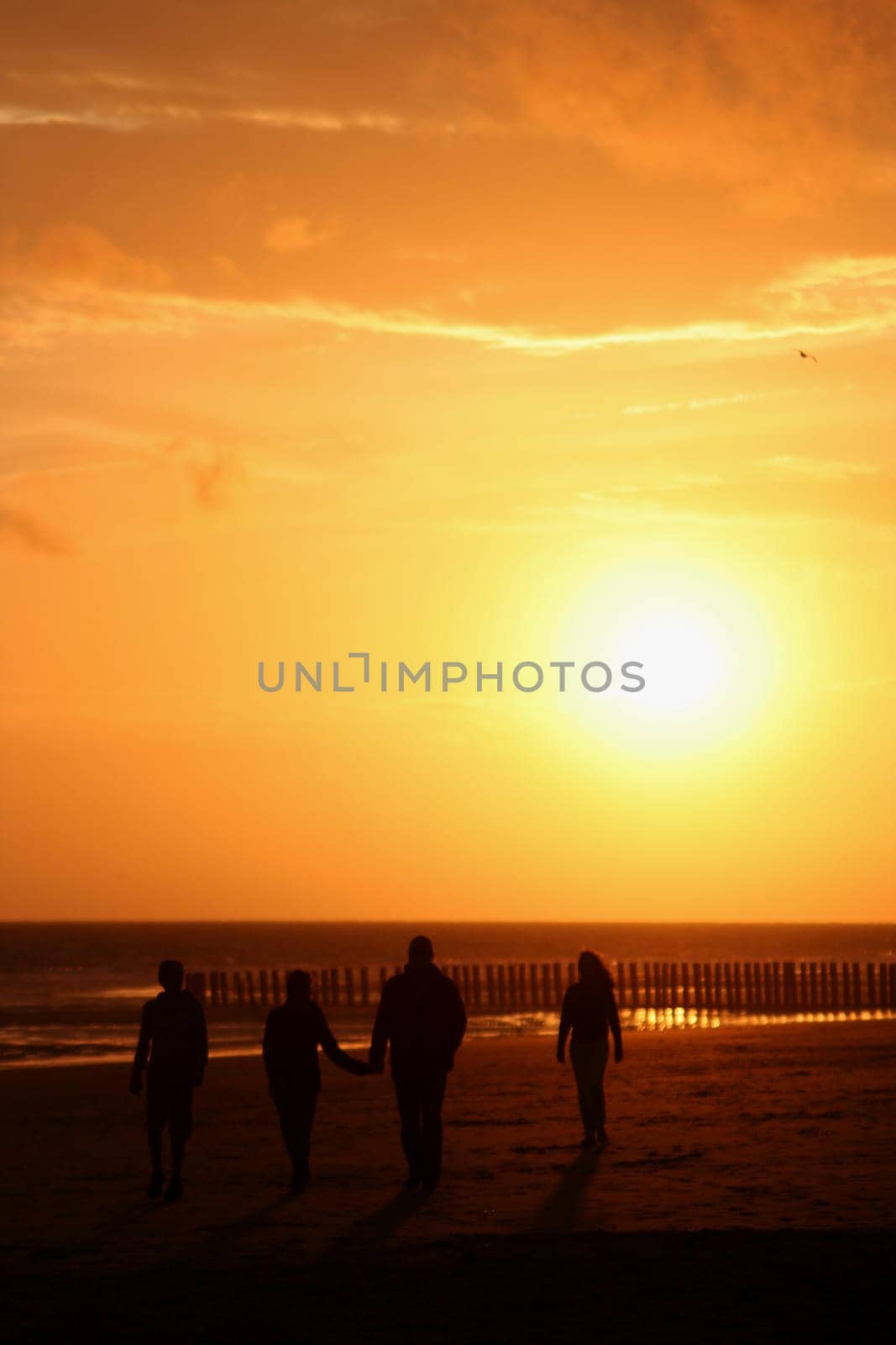 sun worshipper
