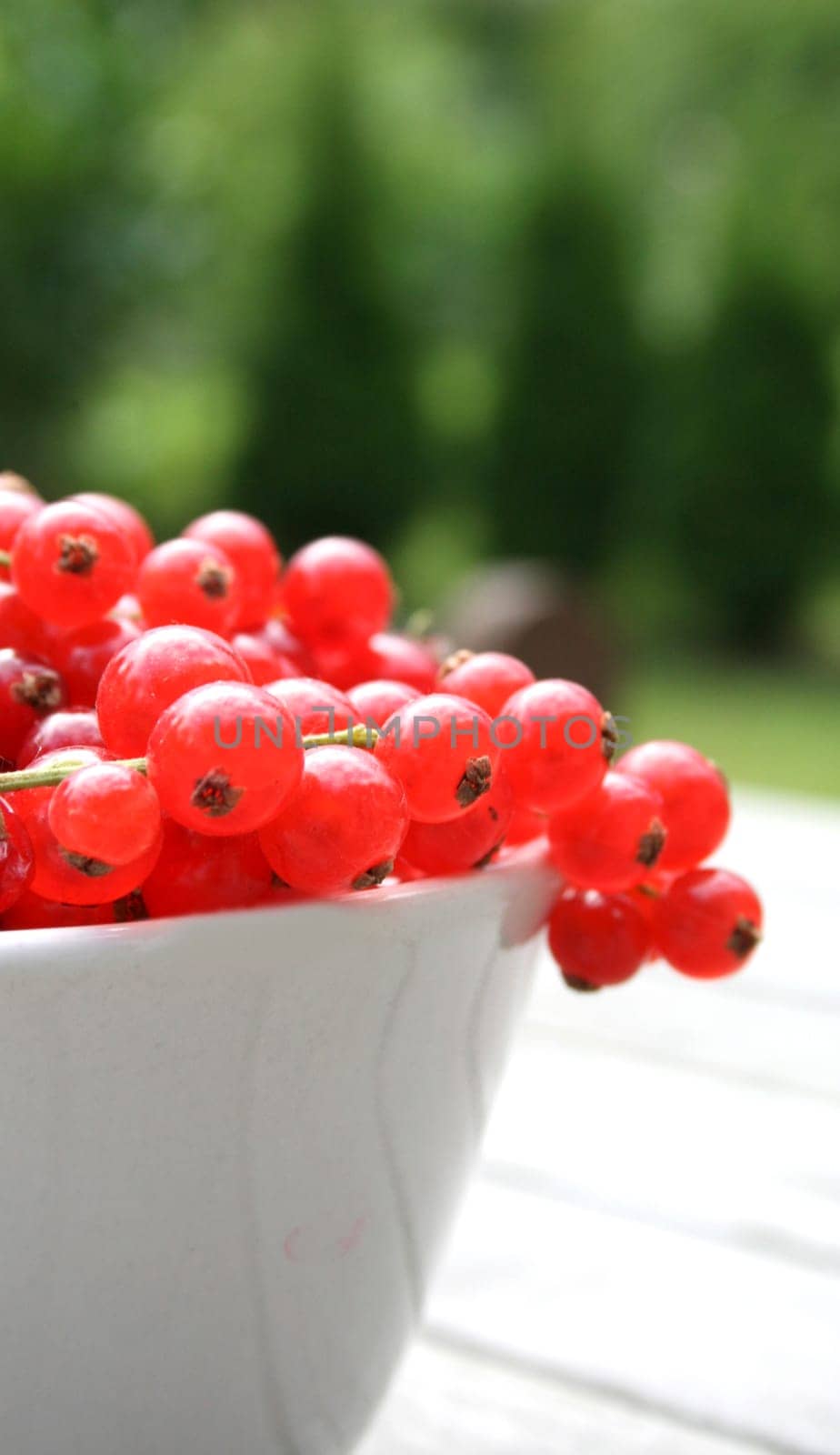 Currants (9)