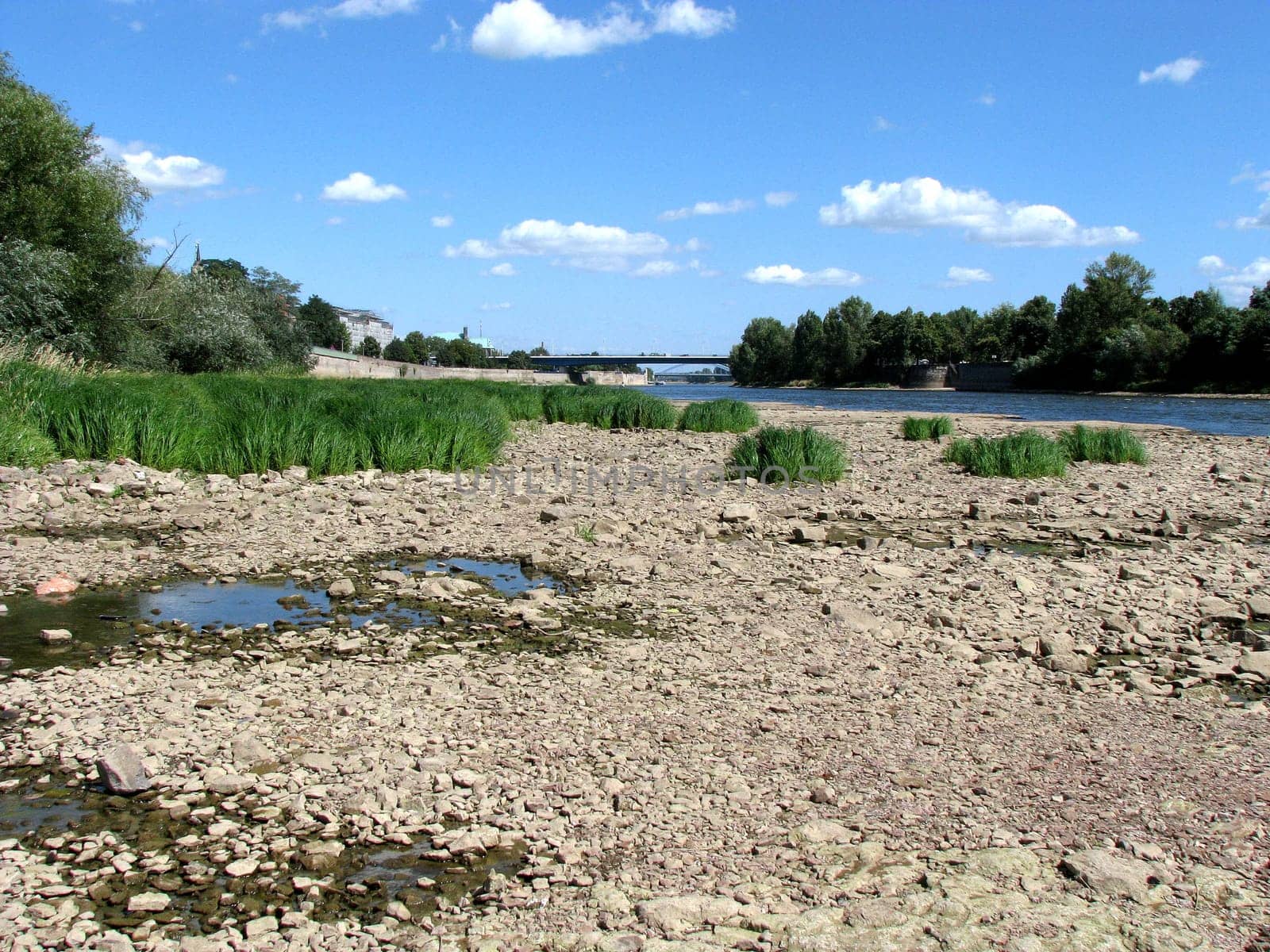 Domfelsen Magdeburg